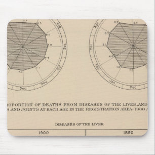 124 Deaths diseases digestive system, liver Mouse Pad