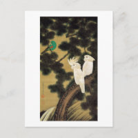 12. 老松鸚鵡図, 若冲 Pine-tree & Parrot, Jakuchū