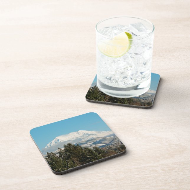 12/22/2014 COASTER (Right Side)