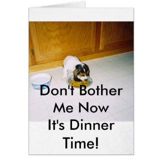 12-30-2008 06;09;30PM, Don't Bother Me NowIt's ...