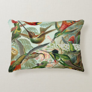 12 american humming birds breeds painted drawn decorative cushion