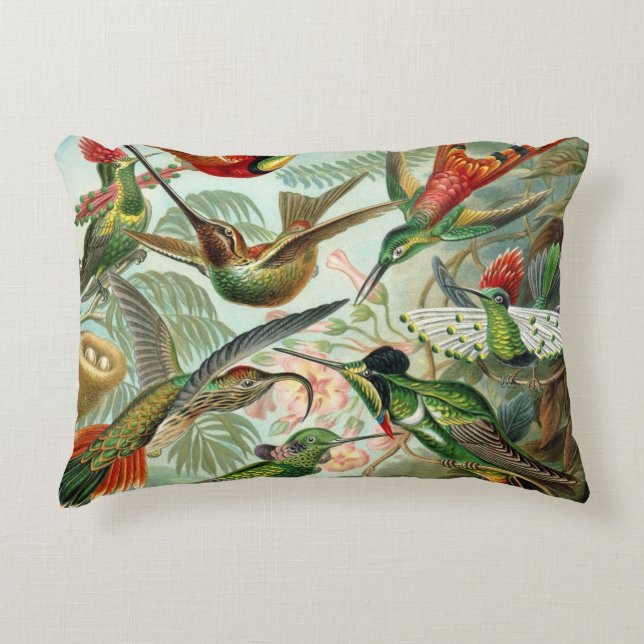 12 american humming birds breeds painted drawn decorative cushion (Front)