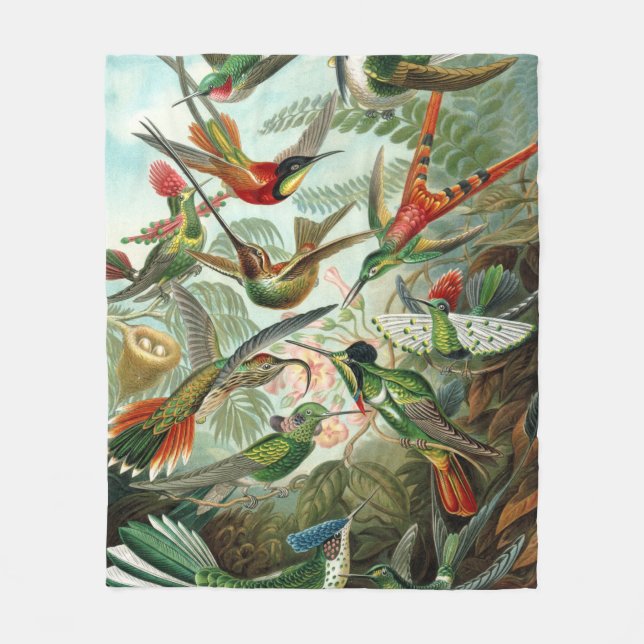 12 american humming birds breeds painted drawn fleece blanket (Front)