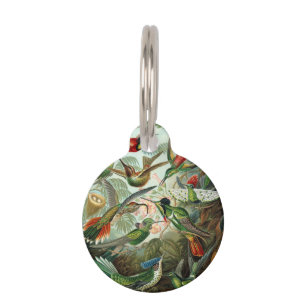 12 american humming birds breeds painted drawn pet tag
