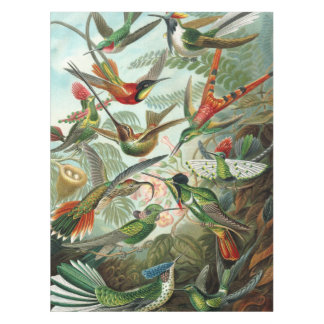 12 american humming birds breeds painted drawn tablecloth