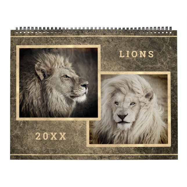 12 Beautiful Lions Photo Images Calendar (Cover)