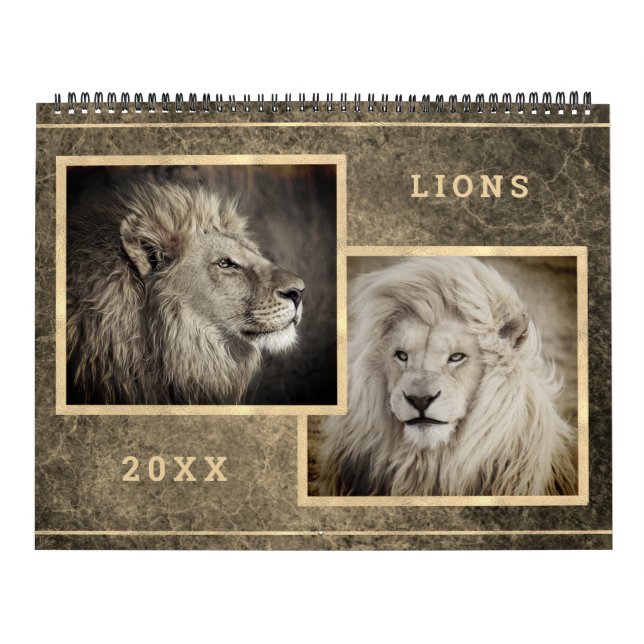 12 Beautiful Lions Photo Images Calendar (Cover)
