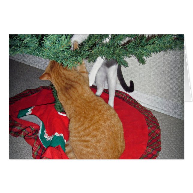 12 Cats a-Climbing (Front Horizontal)