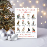 12 days of Catmas Christmas Cat Holiday Card<br><div class="desc">12 Days of Catmas for the Holidays! Features a variety of breeds of cats all decked out in their Holiday clothers, antlers, hats and Christmas decorations that they played or destroyed, like broken branches, ornaments, knocked over Christmas tree, etc. A funny take on the "12 days of Christmas" but with...</div>