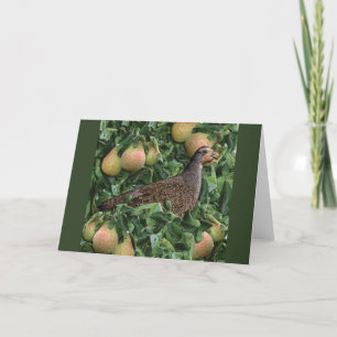 12 Days of Christmas - Partridge in a Pear Tree Holiday Card