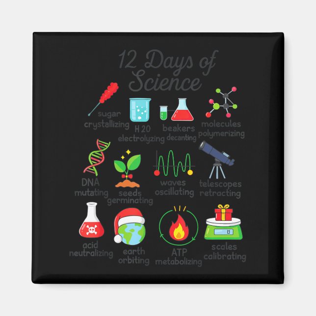 12 Days Of Science Funny Science Teacher Christmas Magnet (Front)
