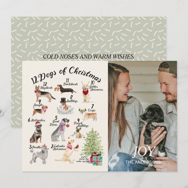 12 Dogs of Christmas Joy Holiday Photo Card (Front/Back)