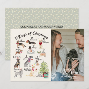 12 Dogs of Christmas Joy Holiday Photo Card