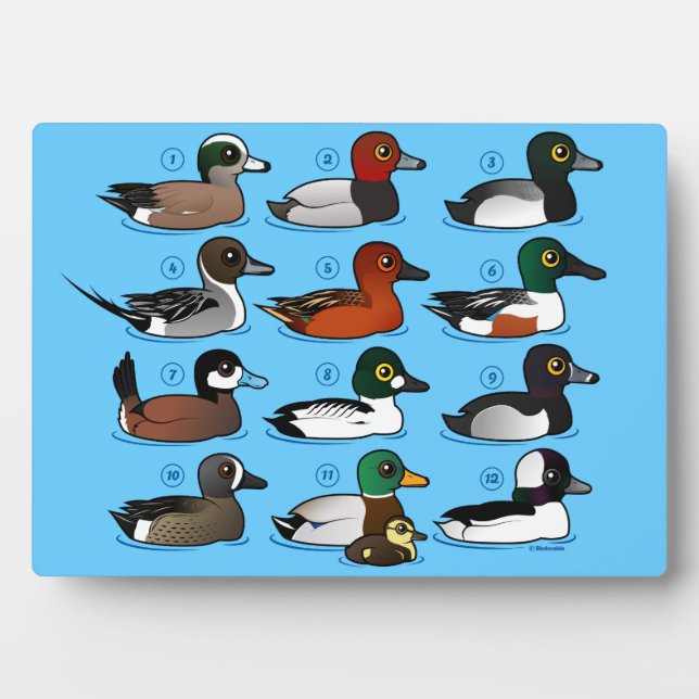 12 Ducks Plaque (Front)