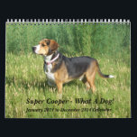 12 Month Beagle Calendar - What A Dog!<br><div class="desc">This colourful 12 month Calendar features that handsome hound, Cooper the Wonder Beagle, doing what he does best - look handsome! Cooper almost seems to like to pose, as shown by these 12 photos taken in and around Pueblo, Colorado. The backdrops include Lake Minnequa, the Riverwalk and Lake Elizabeth, both...</div>