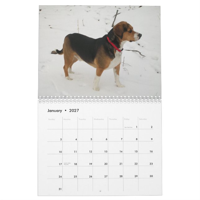 12 Month Beagle Calendar - What A Dog! (Jan 2027)
