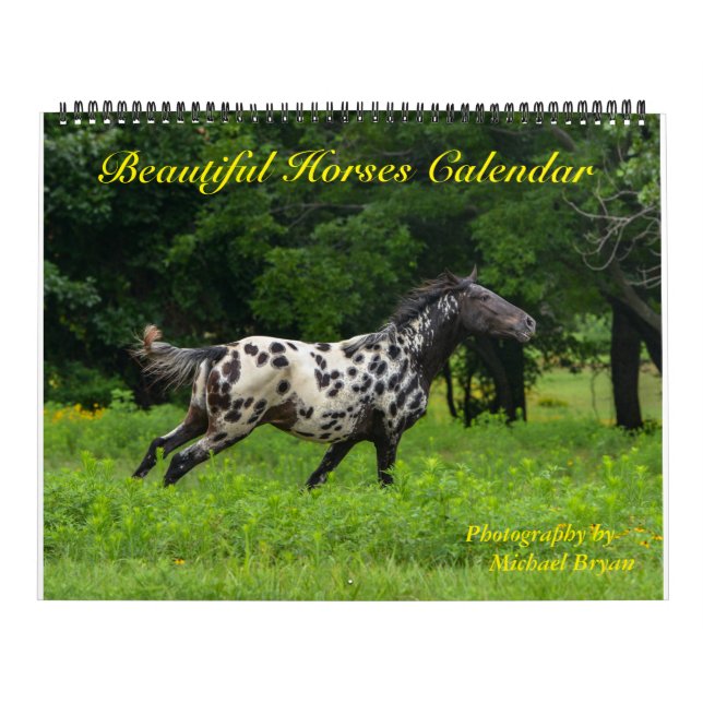 12 Month Beautiful Horses Calendar, Large Calendar (Cover)