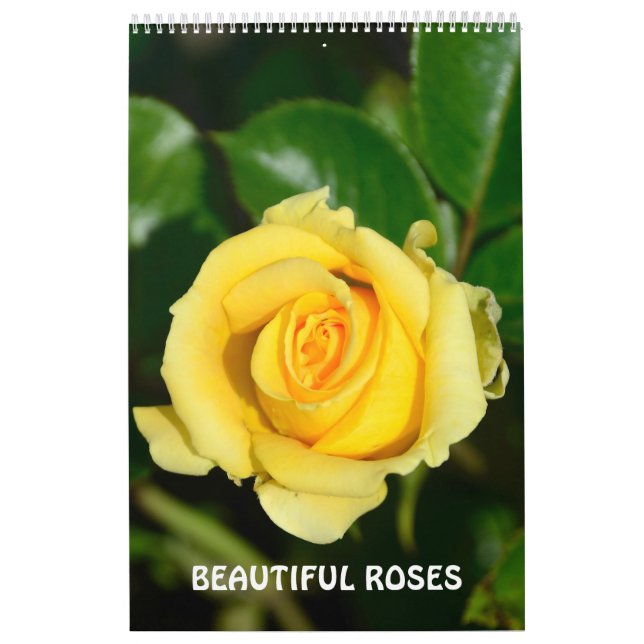 12 month Beautiful Roses Calendar (Cover)