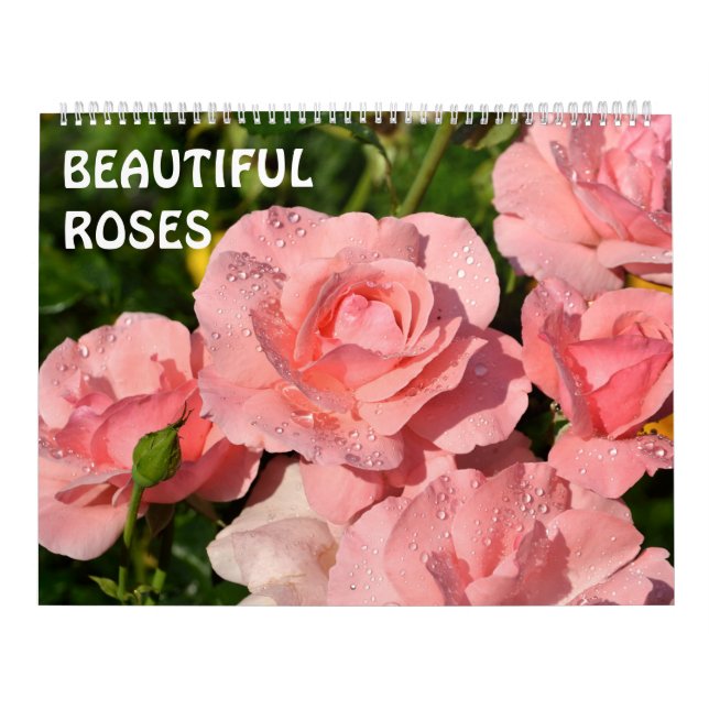 12 month Beautiful Roses Calendar (Cover)