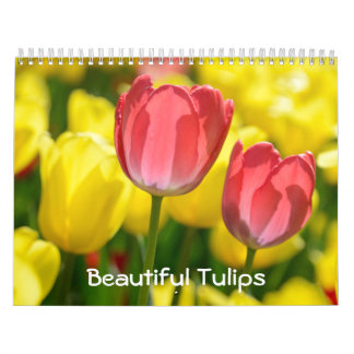 12 month Beautiful Tulips (#2) Calendar