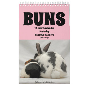 12-Month Bunny Calendar