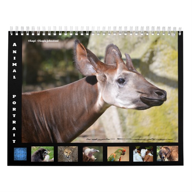 12 month calendar animal portraits (Cover)