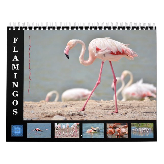 12 month calendar flamingos (Cover)