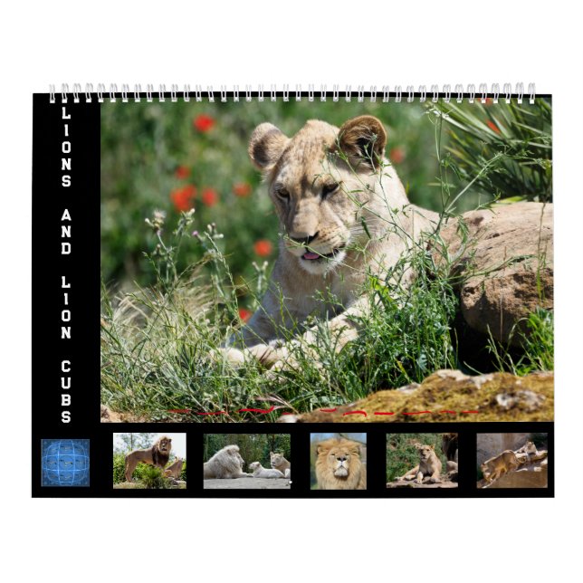 12 month calendar Lion family (Cover)