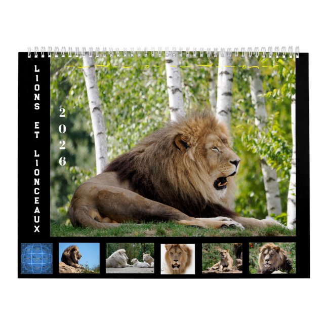 12 month calendar Lion family (Cover)