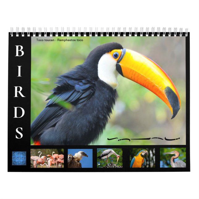 12 month calendar of various birds (Cover)