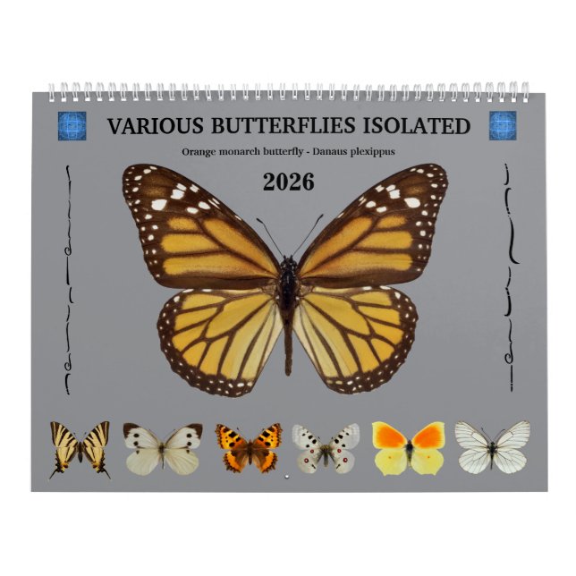12 month calendar various butterflies  (Cover)