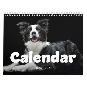 12 Month Modern Typography Dog Calendar 2027