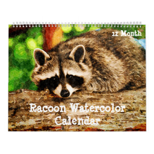 12 Month Watercolor Racoon Wildlife Painting Art  Calendar