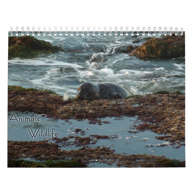 12 Months of Animals and Wildlife Edition 3 Calendar (Cover)