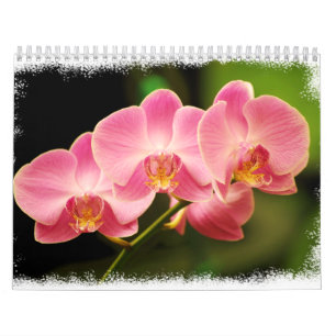12 Months of Beautiful Orchids Calendar