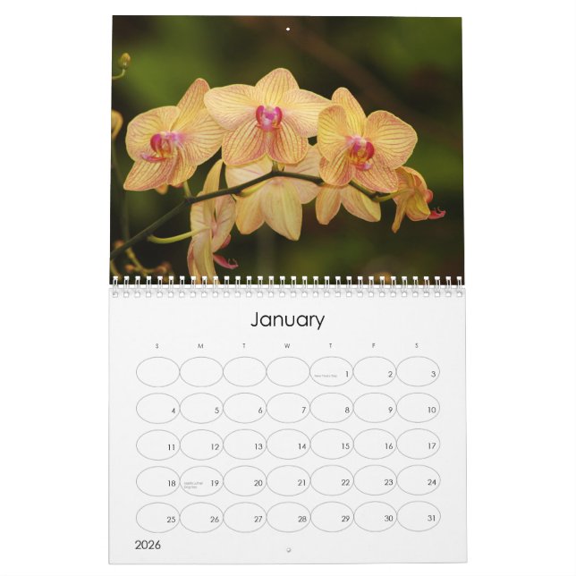 12 Months of Beautiful Orchids Calendar (Jan 2026)