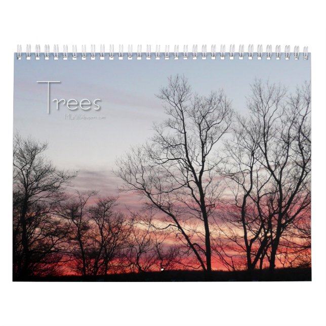 12 Months of Beautiful Trees, 1st Edition Calendar (Cover)