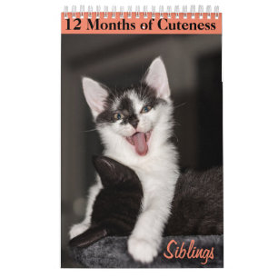 12 Months of Cuteness Kittens Siblings Calendar