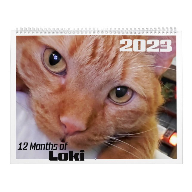 12 Months of Loki an Orange Tabby Cat Calendar (Cover)
