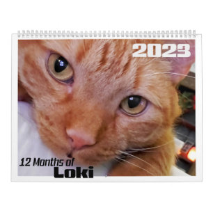 12 Months of Loki an Orange Tabby Cat Calendar