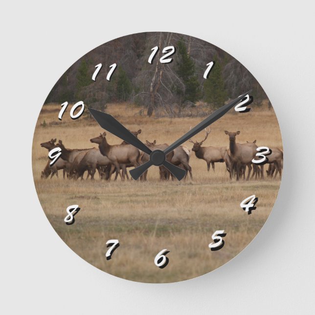 12 Number Choices to Choose --Elk Herd--Clock Round Clock (Front)