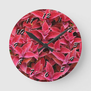 12 Number Choices to Choose From Red Coleus Clock