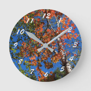 12 Number Choices to Choose From Scenic Clock