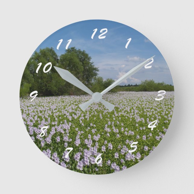 12 Number Choices to Choose From Scenic Clock (Front)