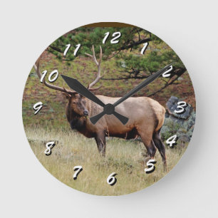 12 Number Choices to Choose --Wild Elk Clock