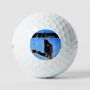 (12 Pack) Wildlife Raven Bird Personalised Golf Balls