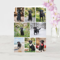 12 Photo Collage Personalised Custom