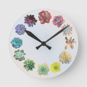 12 Rainbow Succulent Mix Round Clock