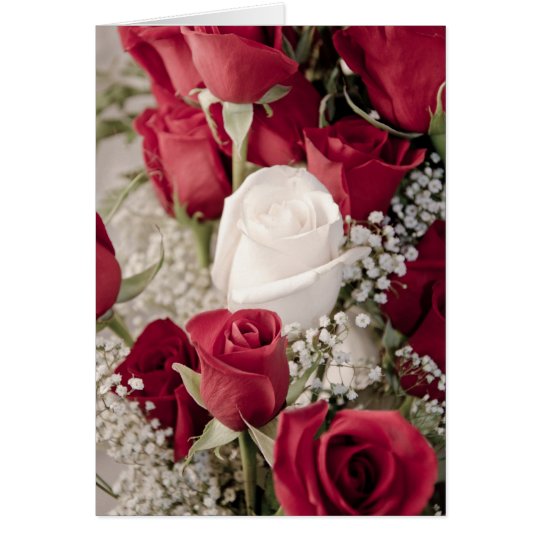 12 red 1 white valentine rosebuds collection card