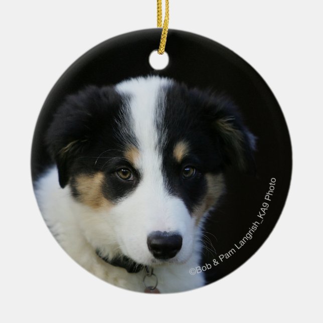 12 Week Old Border Collie Puppy Ceramic Tree Decoration (Front)